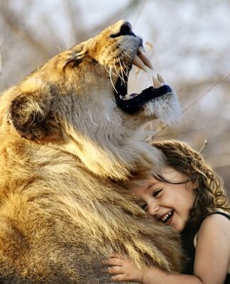 Jaka jest najlepsza yerba mate?