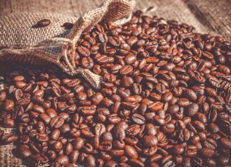 Czy fasola to warzywo?