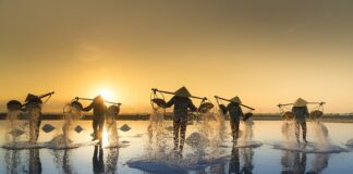 Po co Sól dla królika?