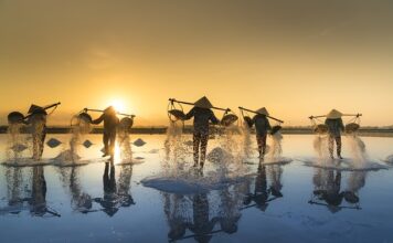 Po co Sól dla królika?