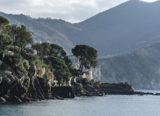 Ile kosztuje wino bez alkoholu?