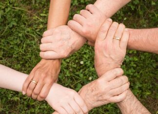 Jak kot okazuje zaufanie?