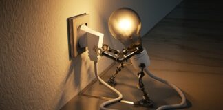 Jakie owoce i warzywa dodają energii?