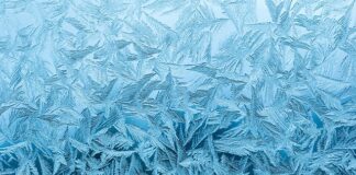 Ile stopni mrozu wytrzymują jabłka?