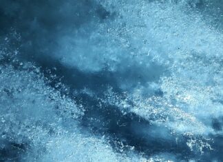 Czy otwarte wino trzeba trzymać w lodówce?