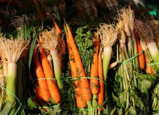 Czy włoszczyzna jest zdrowa?