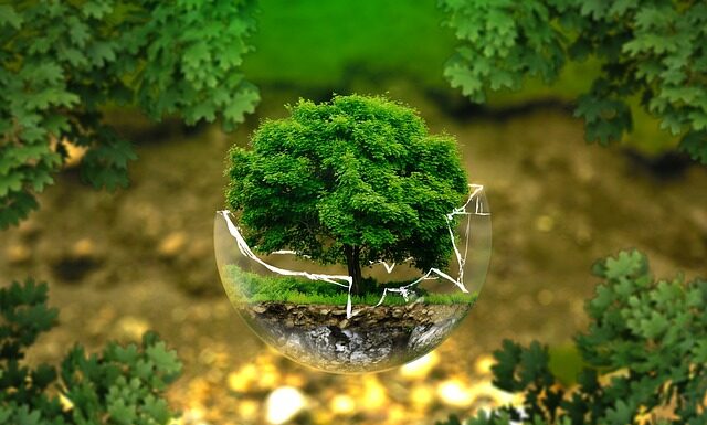 Jakie jest dobre wino w Biedronce?