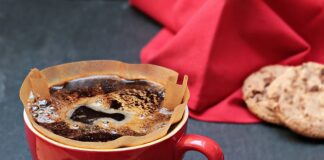 Jaki filtr wewnętrzny do akwarium?