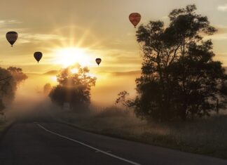 Ile psów może być w samolocie?