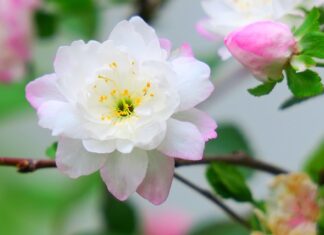 Ile jest rodzajów warzyw?