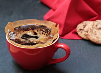 Czy filtr powinien być cały pod wodą?