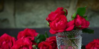 Kto dostarcza pojemniki na odpady komunalne?