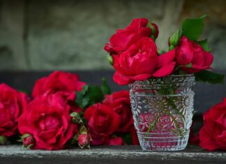 Kto dostarcza pojemniki na odpady komunalne?