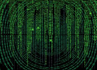 Skąd nazwa warzywa?