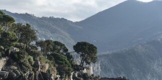 Ile kosztuje kilogram wędzonej szynki?