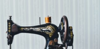 Ile goją się szwy u psa?