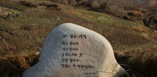 Co jest lepsze zeolit czy ceramika?