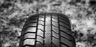 W czym transportować kota?