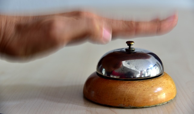 Jak nie podnosić psa? Jak nie podnosić psa?