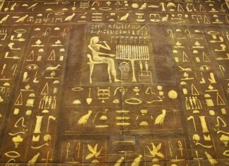 Jakie są typowo polskie warzywa?