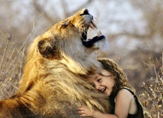 Jakie są zabawy dla kota?