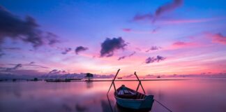 Jaki kolor worka na plastik?