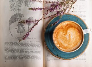 Czy 14 latek może pić yerba mate?