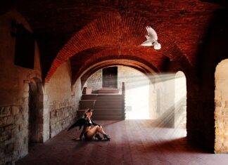 Kiedy kot jest zazdrosny?